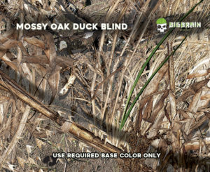 Duck Blind
