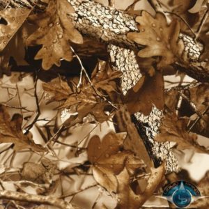 Fall Leaves Brown